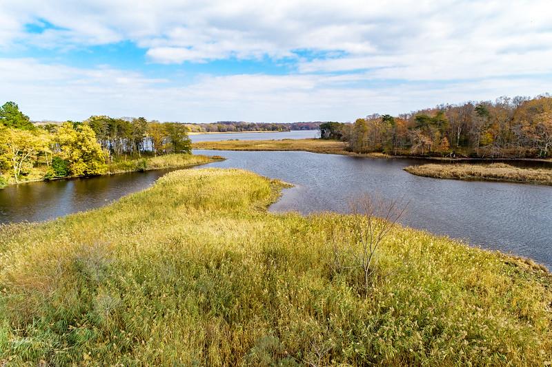 rafc-wetland